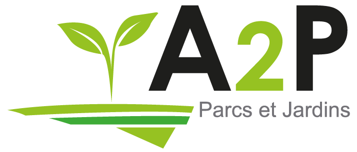 logo A2P